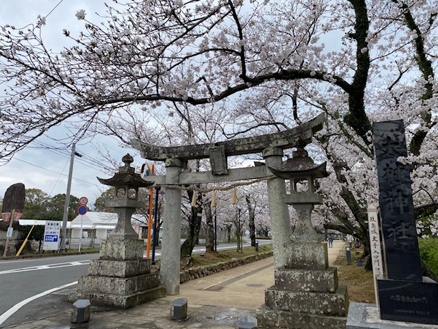 デイケア～院外活動～