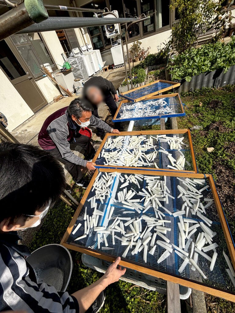 デイケアゆうこう院内活動～切り干し大根・茹で干し大根製作～